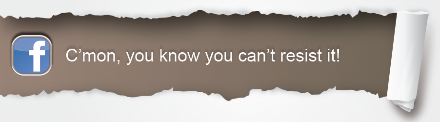 Link to our Facebook account